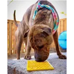 Sodapup Sodapup Lick mat, made from durable material Puzzle L, Pink