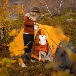 Pala Pala Madalal temperatuuril kuivatatud naturaalsed maiused Kalkun