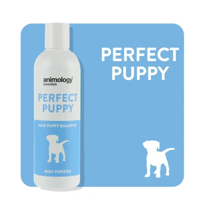 Animology Karvahooldustoode koerale, sobilik erinevatele karvatüüpidele, Perfect Puppy 250ml, Koerland