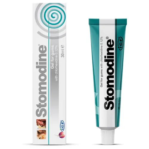 ICF Stomodine 30ml – Pikatoimeline antiseptiline geel igemetele
