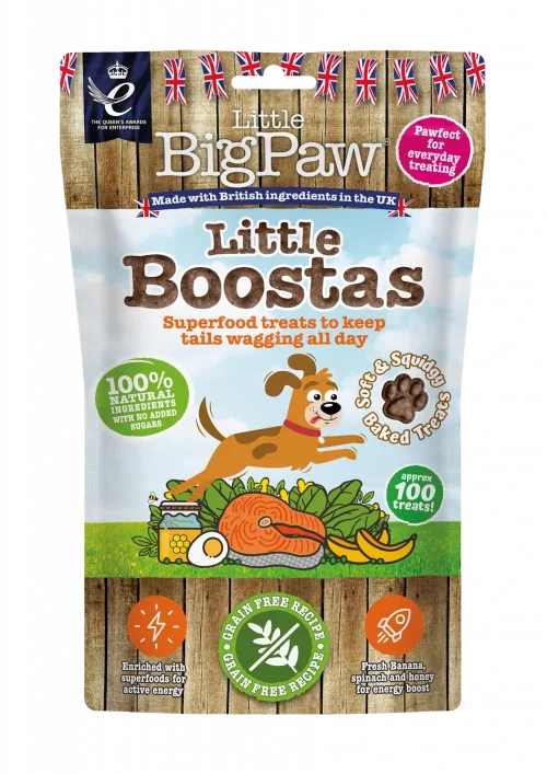 Little Bigpaw Koera maius - Little Boostas Superfood lõhe 90g