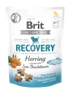 Brit Care - Recovery- Recovery