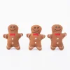 ZippyPaws - Piparkoogid- Gingerbread