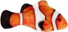 Clown fish