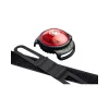 Punane