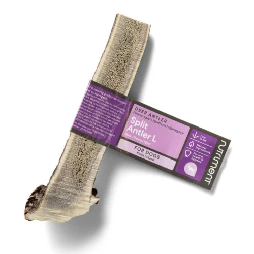 Deer antler halved, a chew treat for a skilled dog - L Deer antler halved, a chew treat for a skilled dog
