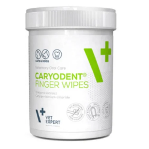 CARYODENT dental wipes 50 pcs