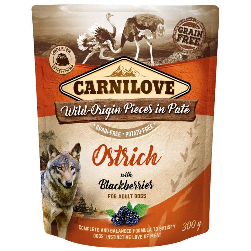Pouch Pate maitsev täissööt või mõnus lisand, einekotike koertele 300 g - Jaanalind mustikaga - image 1 of 1