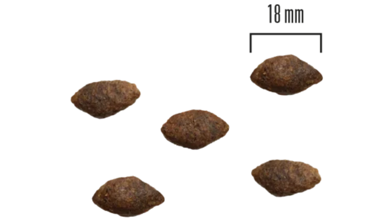 Teraviljavaba kõrge kvaliteediga koeratoit - 10kg, Hirveliha ja kalkun - image 2 of 2