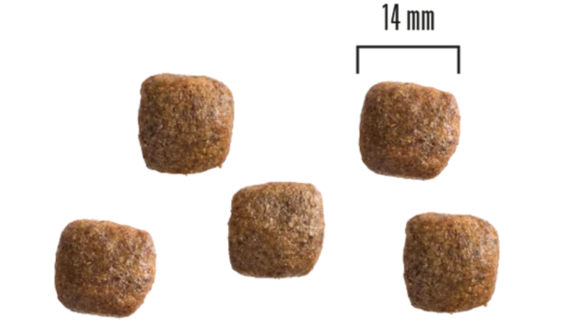 Teraviljavaba kõrge kvaliteediga koeratoit - 1,5kg, Lõhe ja kartul - image 2 of 2