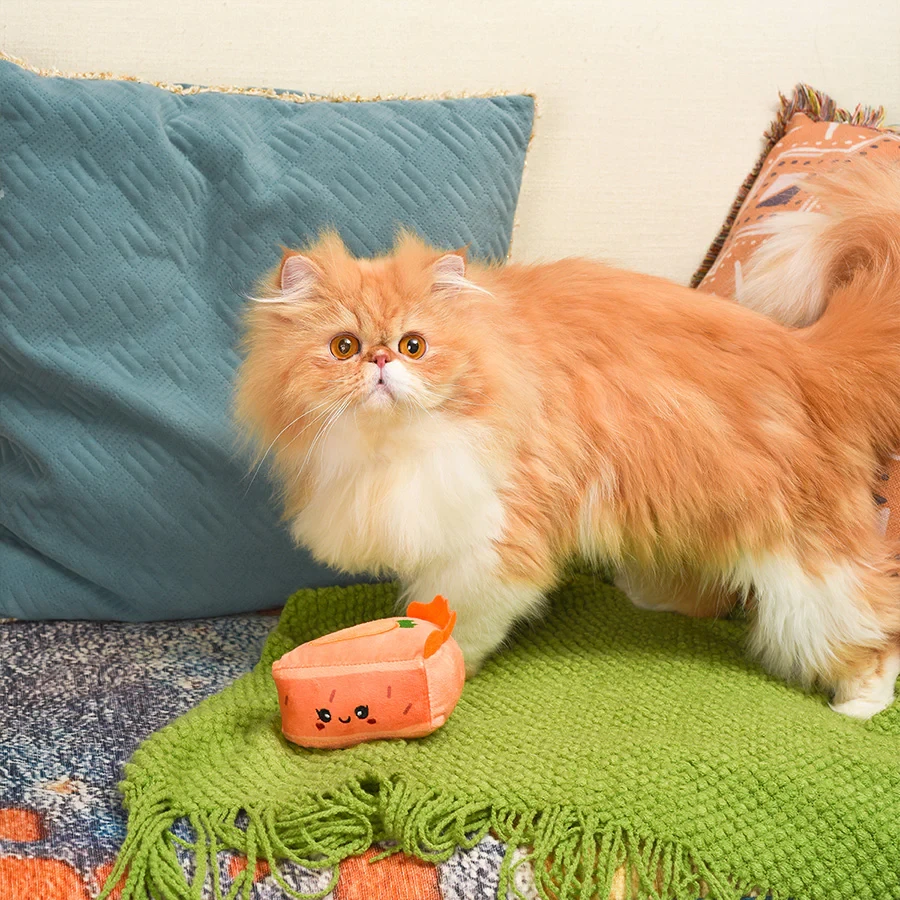 Kitten Party - Cake with catnip - Carrot cake - image 5 of 6