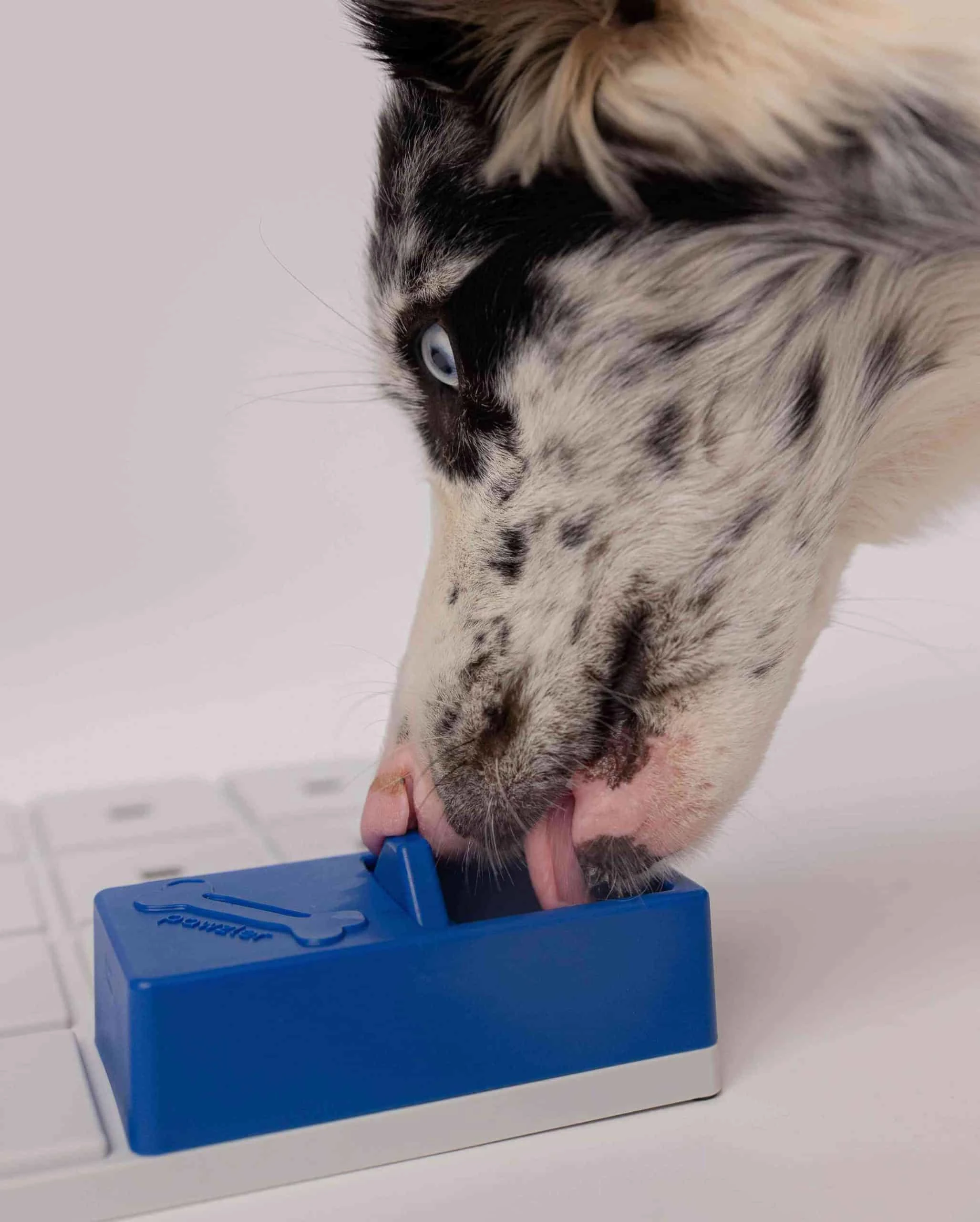 Pawzler Mental stimulation toy that keeps your dog entertained Beginner set - image 6 of 8