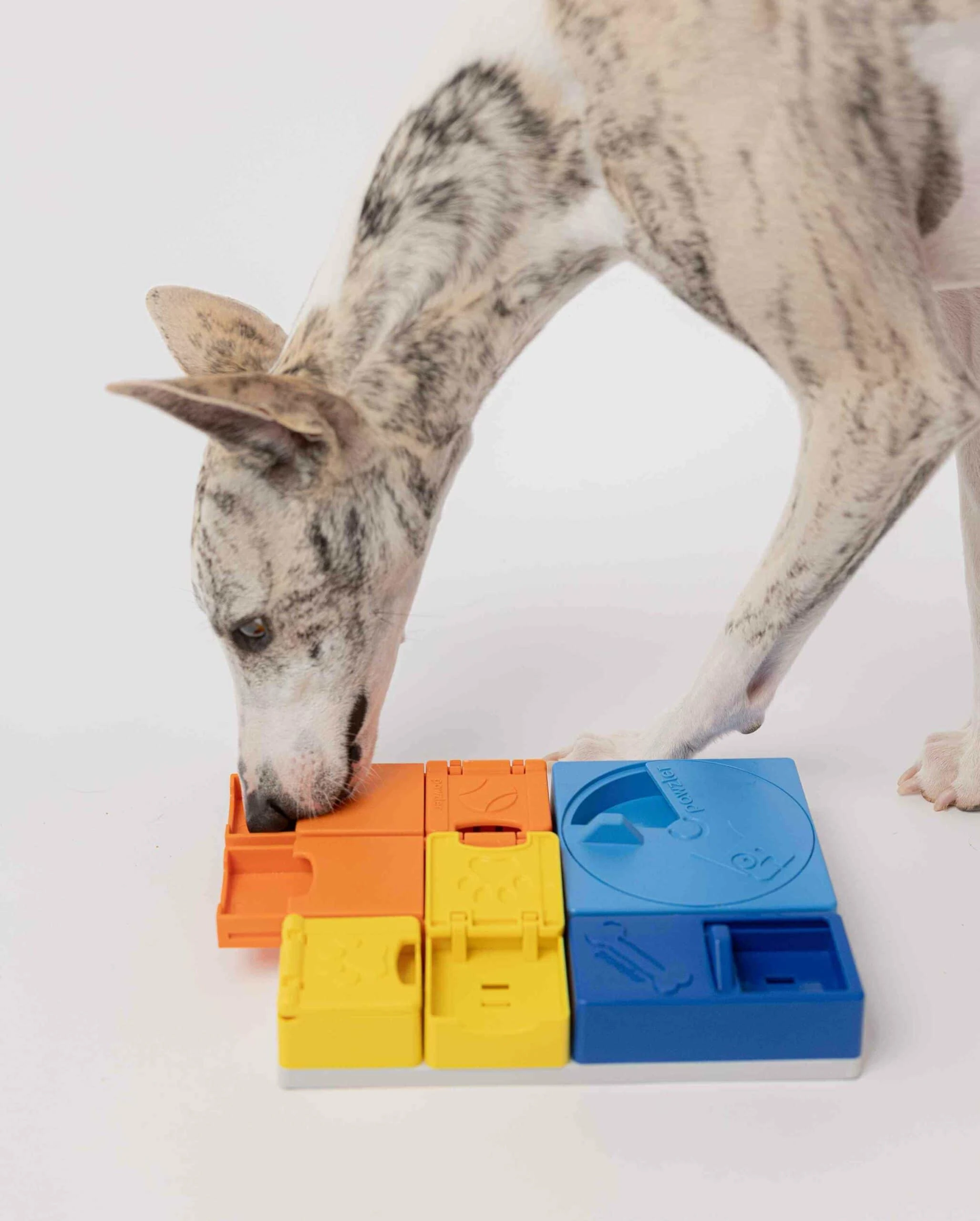 Pawzler Mental stimulation toy that keeps your dog entertained Beginner set - image 4 of 8