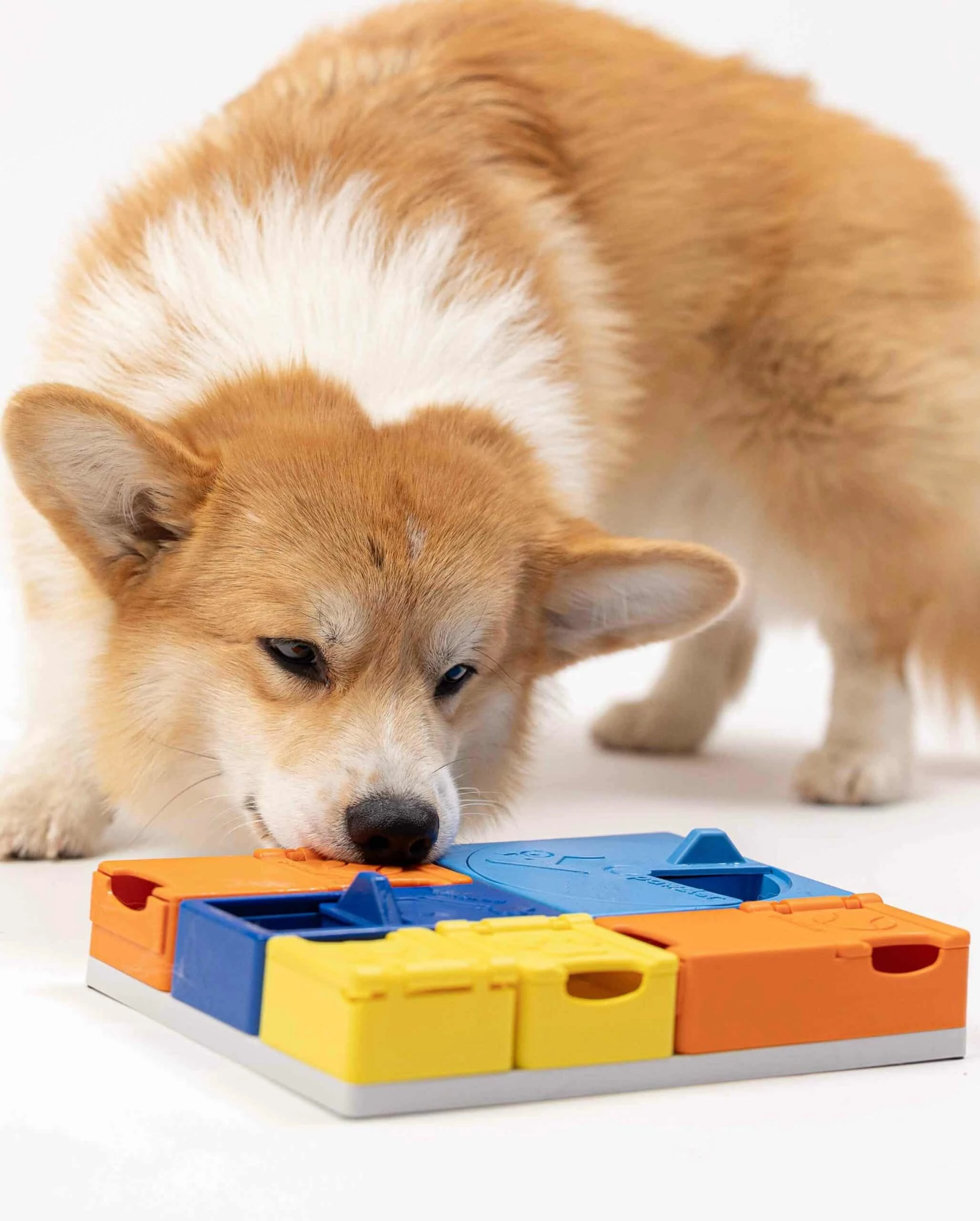 Pawzler Mental stimulation toy that keeps your dog entertained Beginner set - image 7 of 8