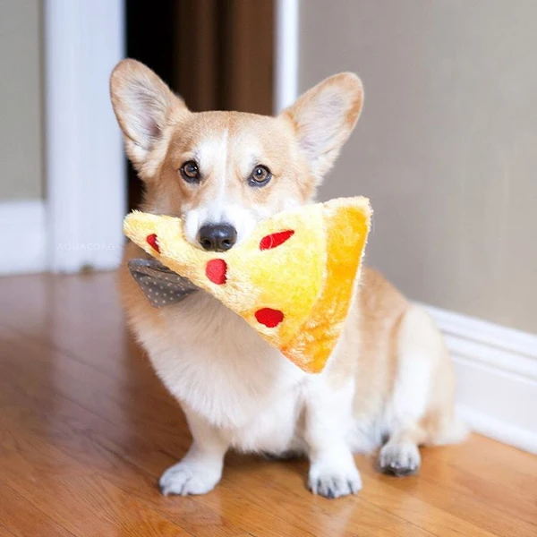 ZippyPaws NomNomz Pizza - image 2 of 2