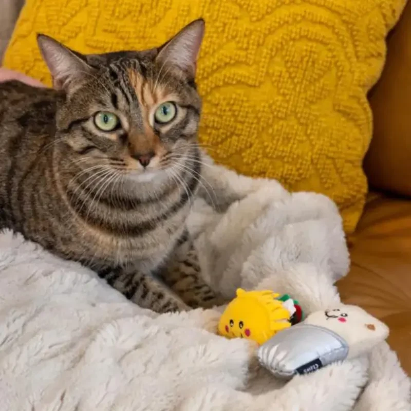 Taco and Burrito catnip scented toys - image 6 of 6