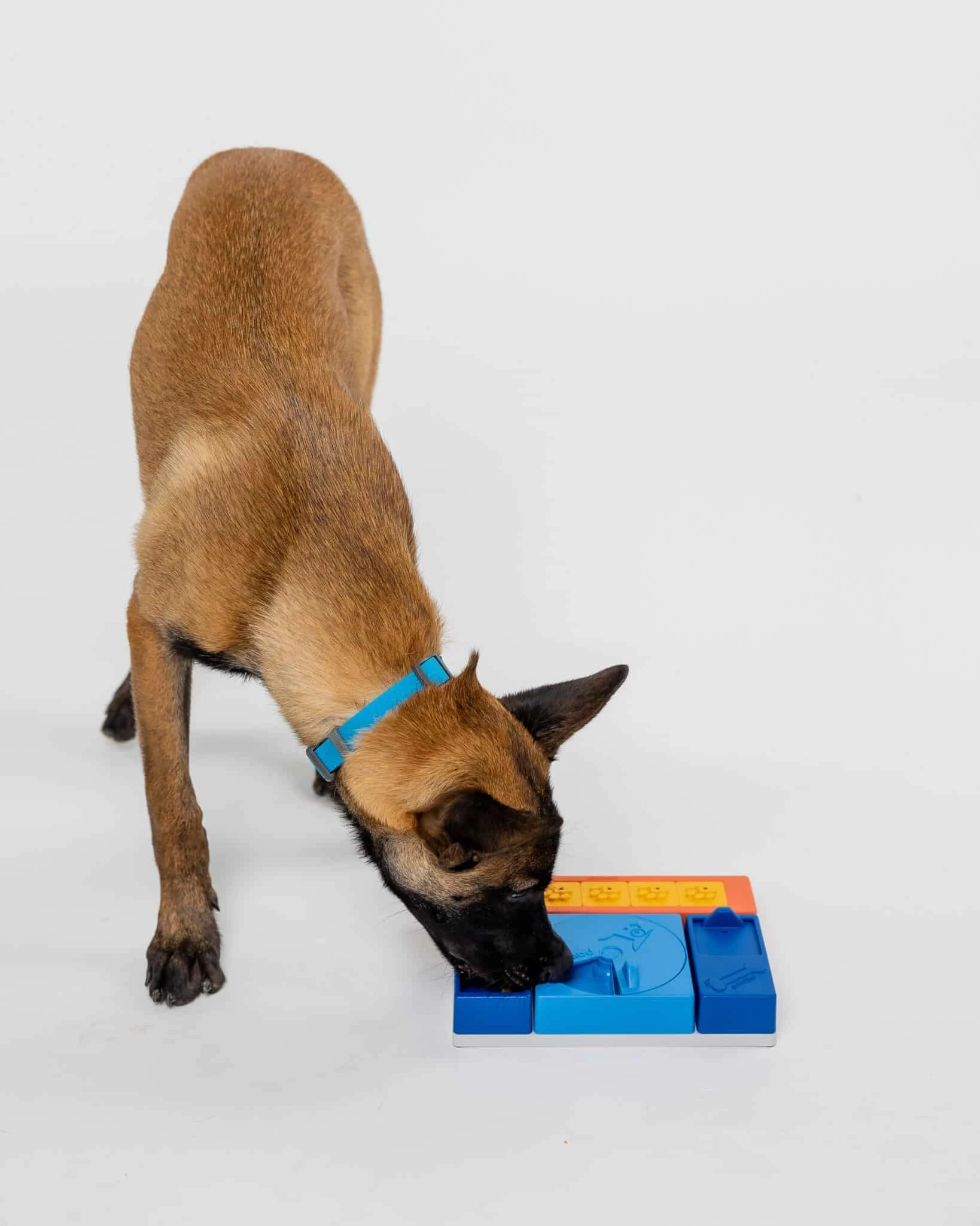 Pawzler Mental stimulation toy that keeps your dog entertained Beginner set - image 2 of 8