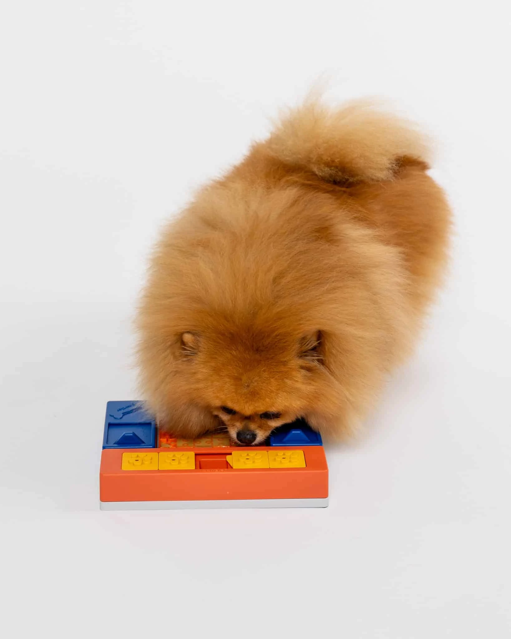 Pawzler Mental stimulation toy that keeps your dog entertained Beginner set - image 3 of 8