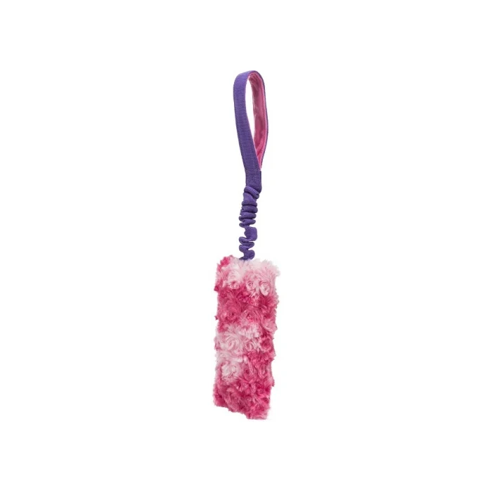 Dog toy Bungee Fun - image 2 of 2