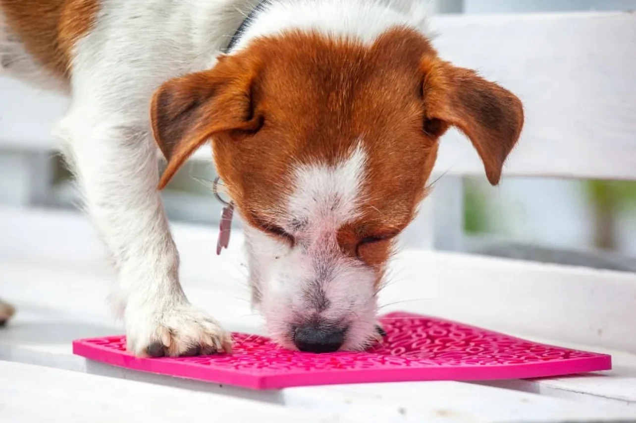 Sodapup Lick mat, made from durable material Flowers S, Pink - image 3 of 4