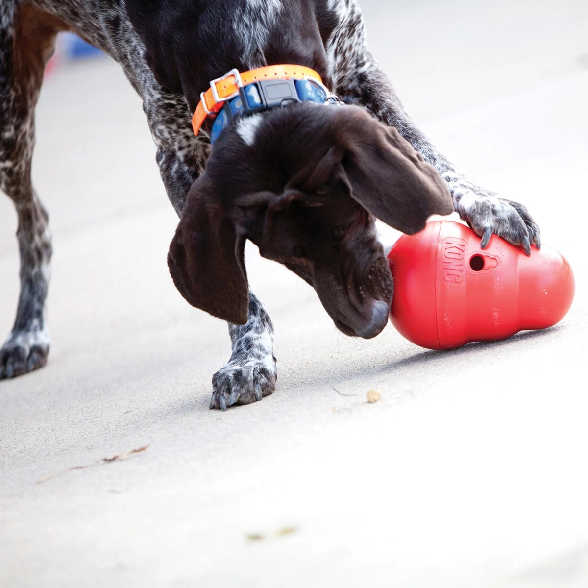 KONG Kong Wobbler Interactive Treat Dispensing Dog Toy L - image 3 of 4
