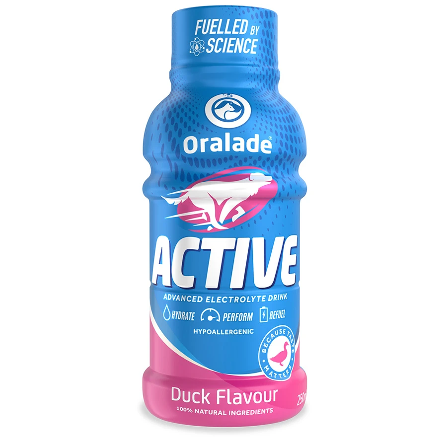 ORALADE Active jook koertele 250ml Pardiga - image 1 of 1