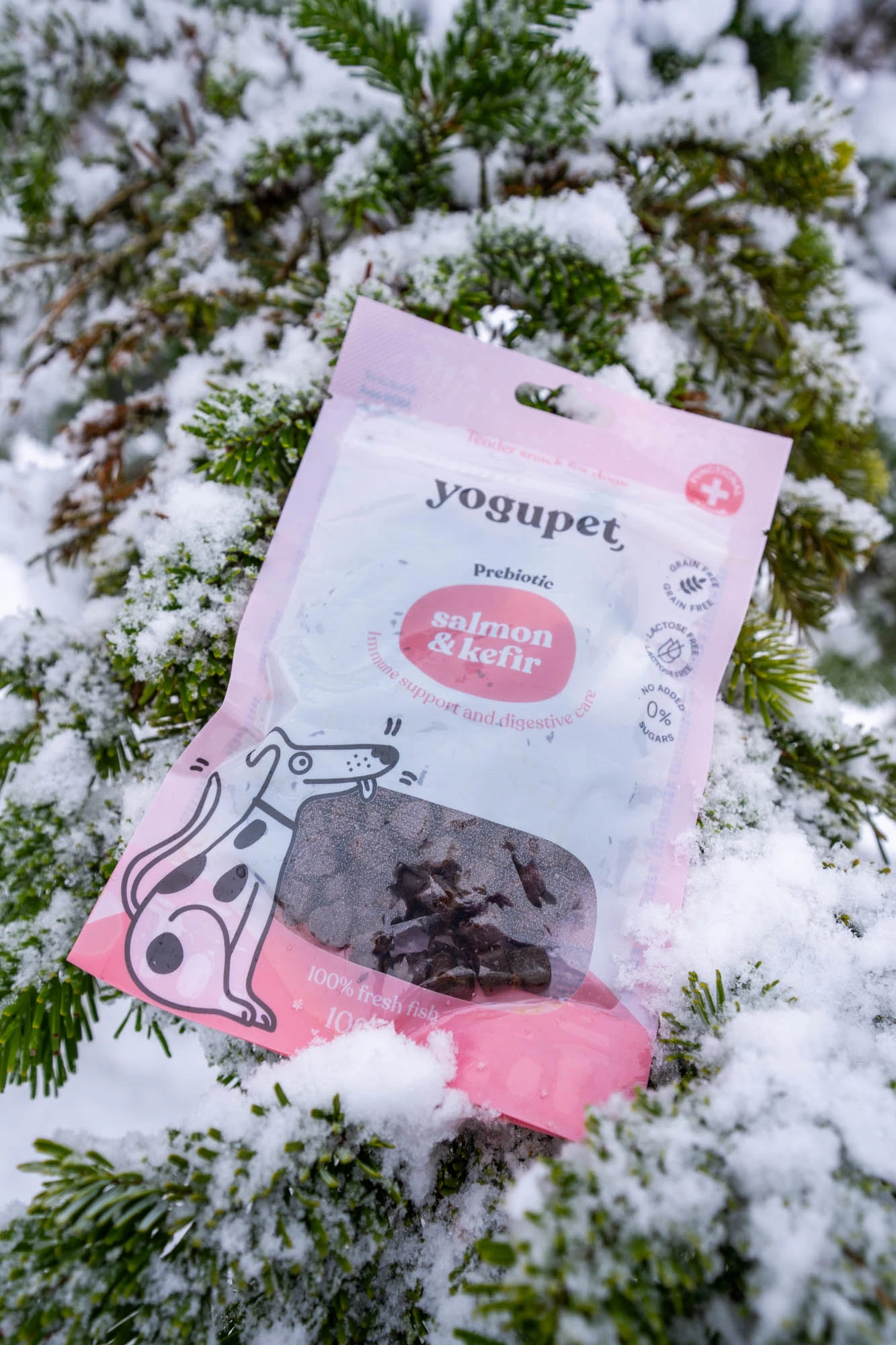 Yogupet Suupiste koertele – lõhe ja keefiriga 100 g - image 3 of 3