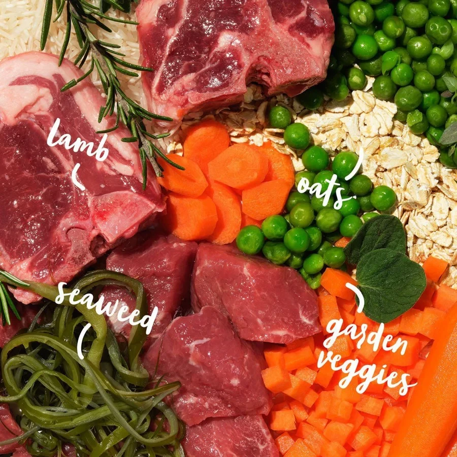 Complete dog feed - 2kg Bowl Lickin Goodness with lamb - image 2 of 3