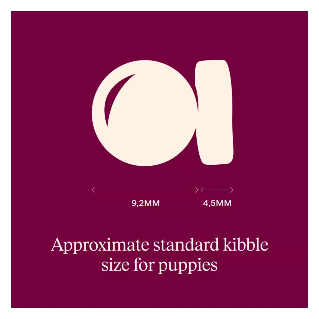 Active Salmon & Turkey Puppy Dog Food 1,5kg - image 2 of 2