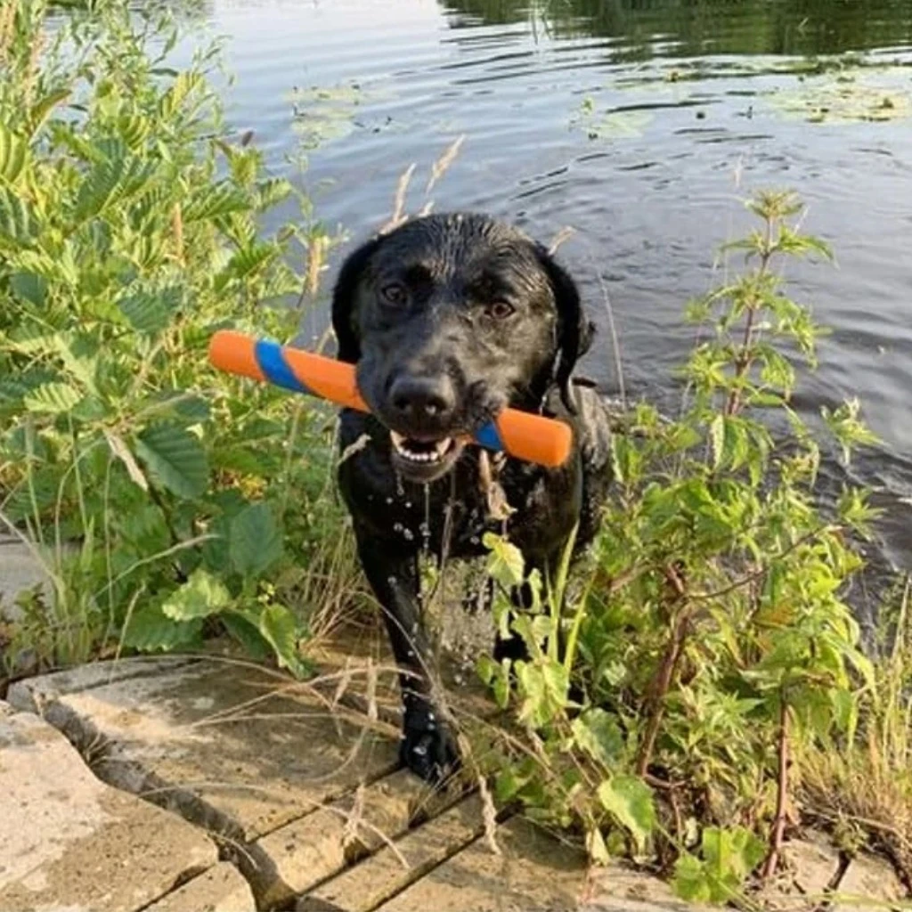 Ultra Fetch - Sticks - image 3 of 5