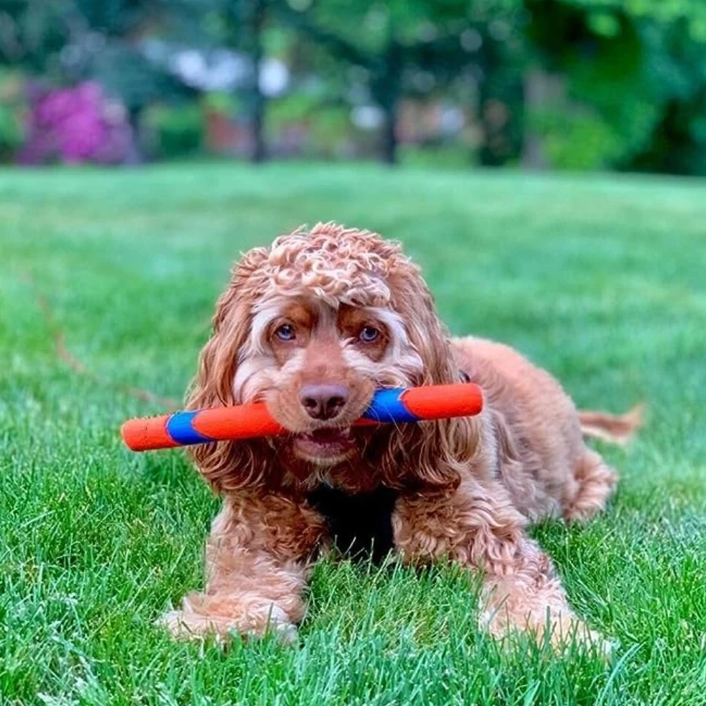 Ultra Fetch - Sticks - image 4 of 5