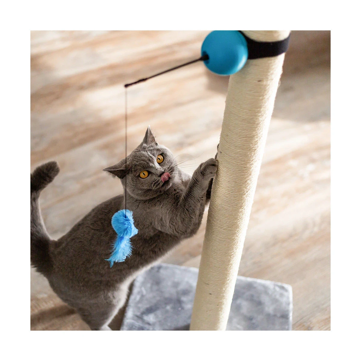 Cat toy Foxy Magic Ball - image 2 of 6
