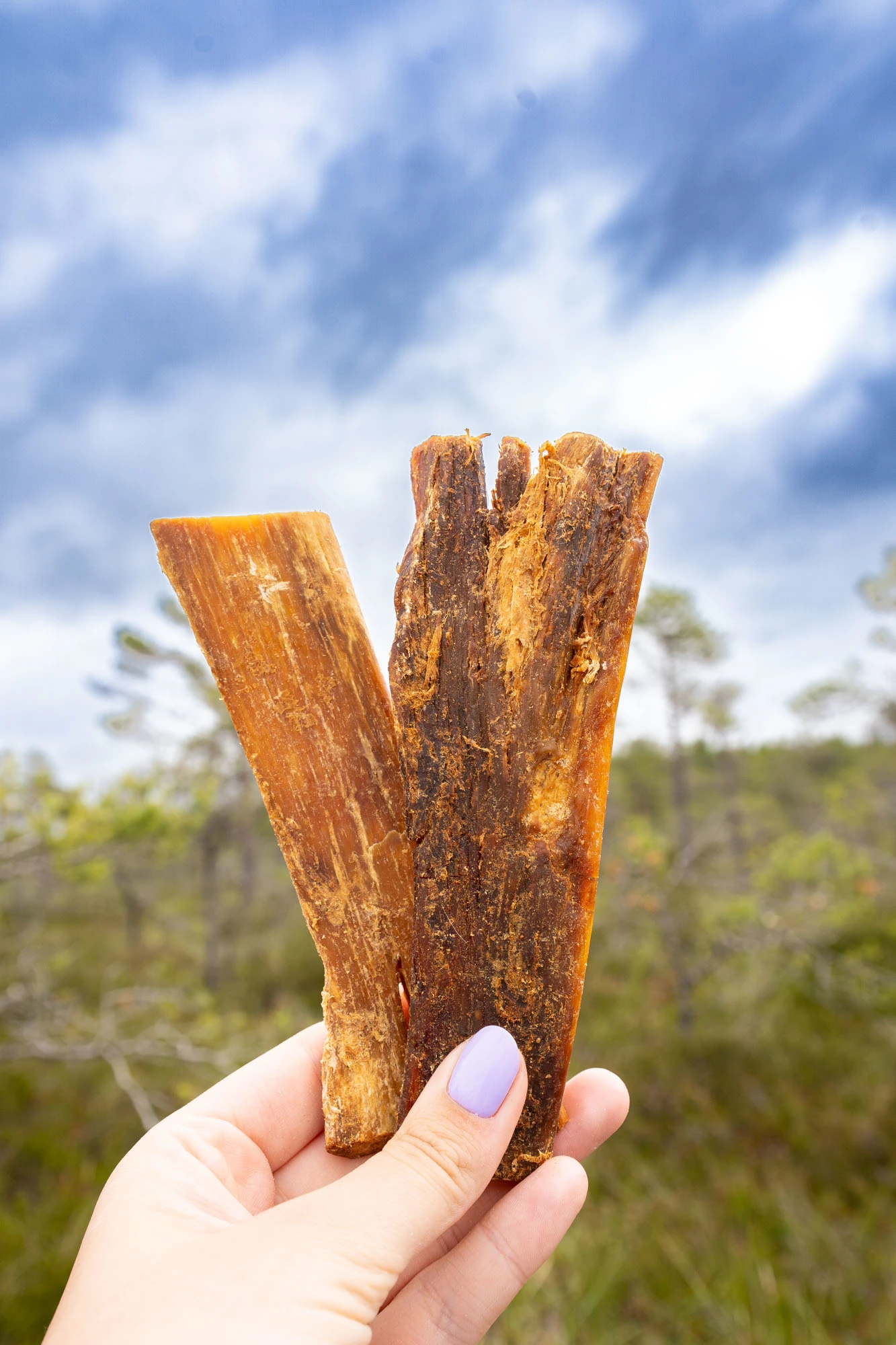 Beef Neck Tendon, extremely crunchy - image 3 of 5
