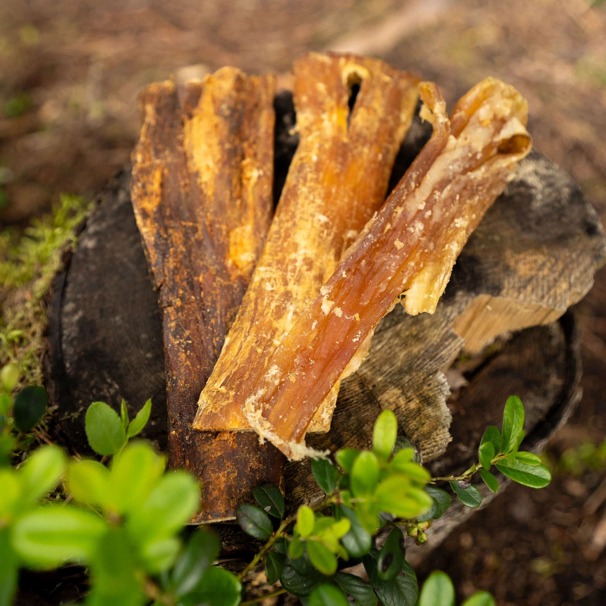 Beef Neck Tendon, extremely crunchy - image 5 of 5