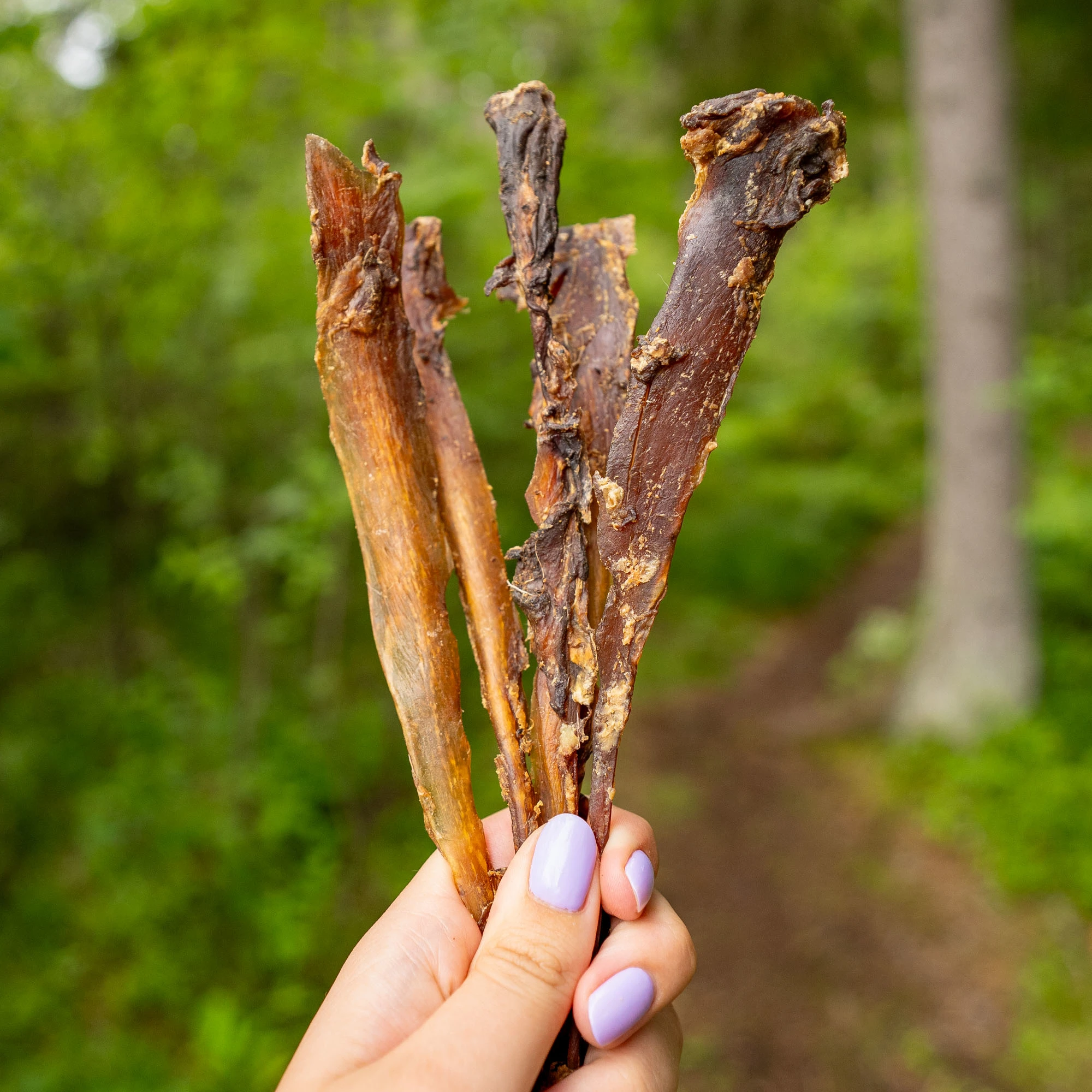 Deer tendons, supporting joint health and flexibility - image 3 of 5