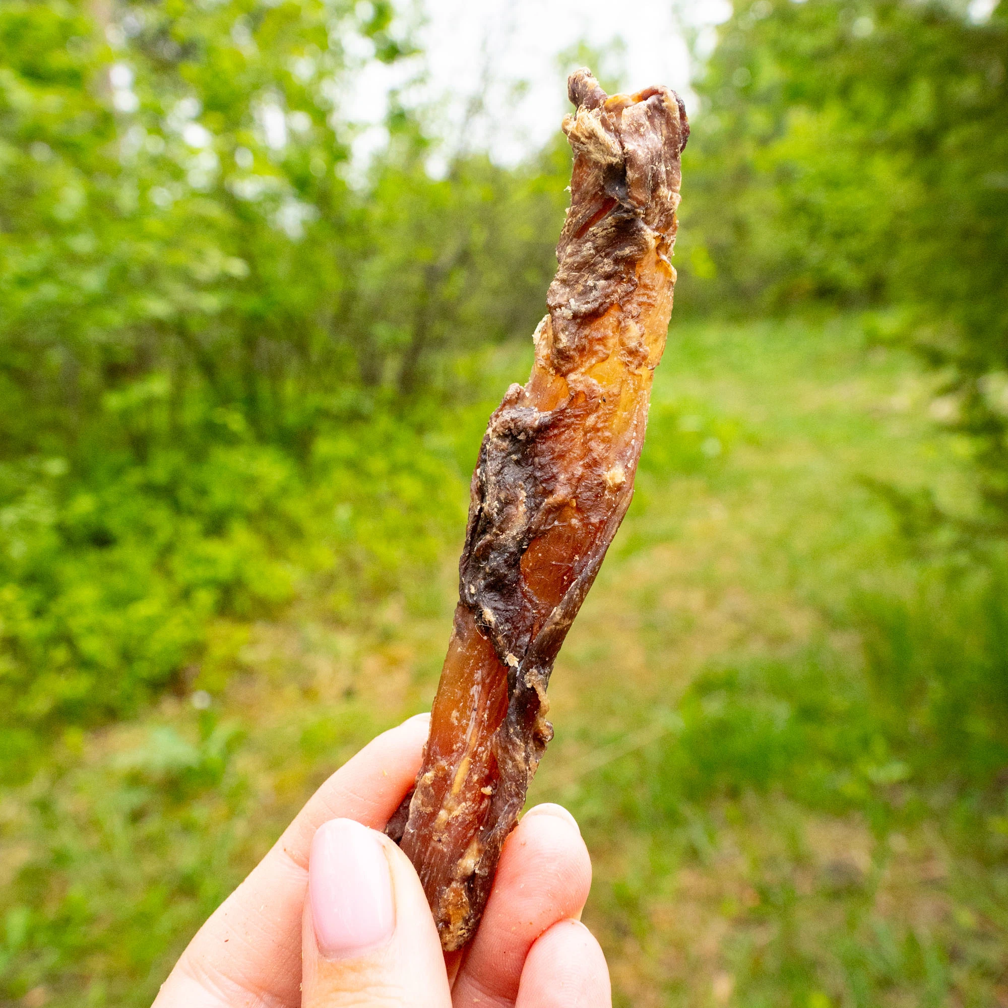 Deer tendons, supporting joint health and flexibility - image 5 of 5