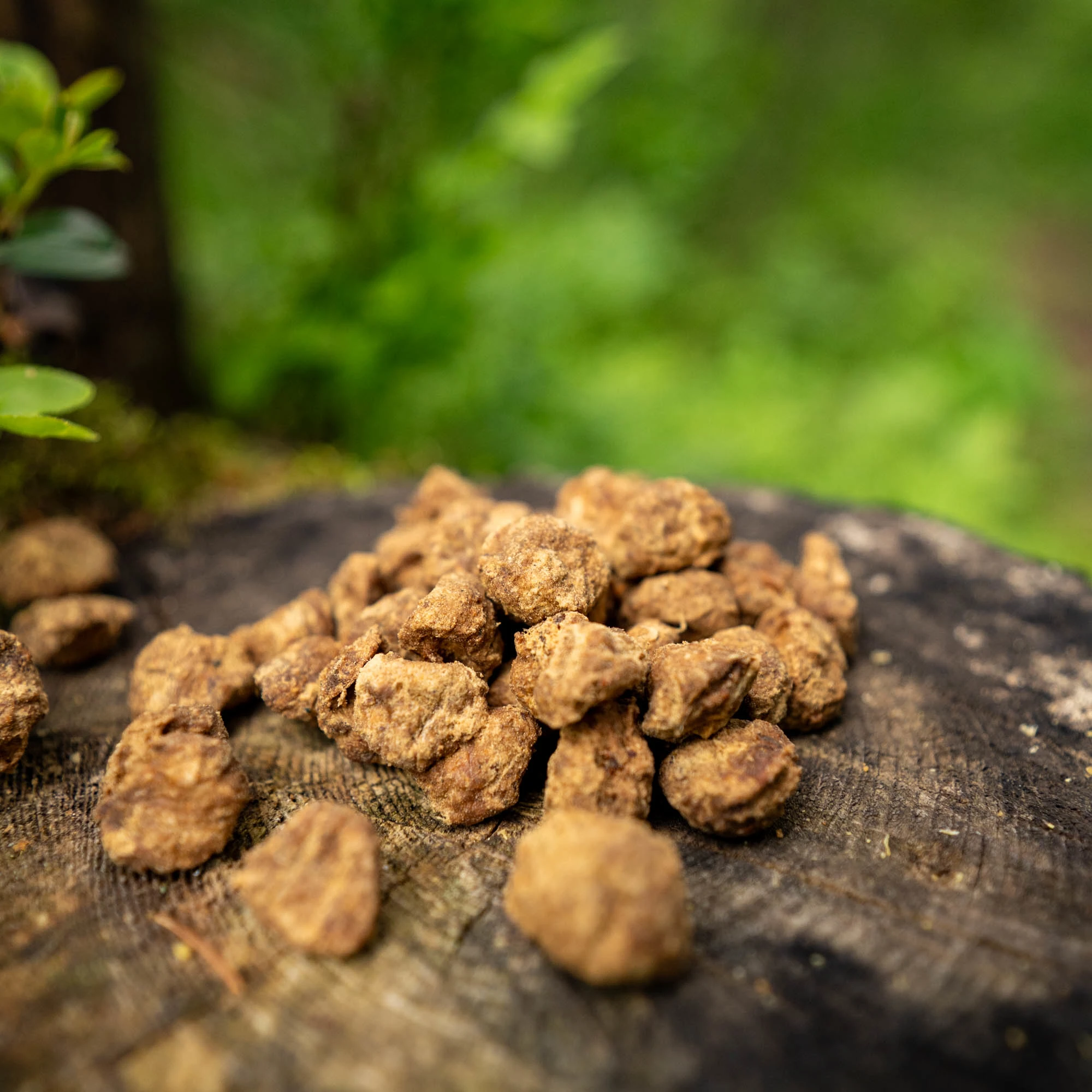 Beef treat with colostrum, boosting immunity - image 2 of 4