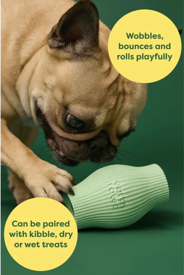 Fill it with treats toy, bounces and rolls away - S - image 3 of 8