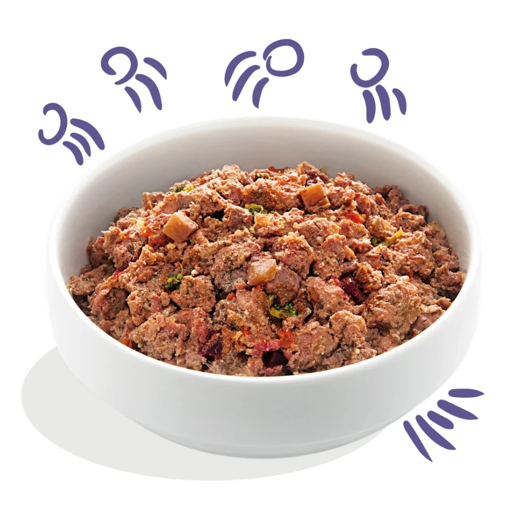 Wet food for dog - Beef 400g - image 2 of 3