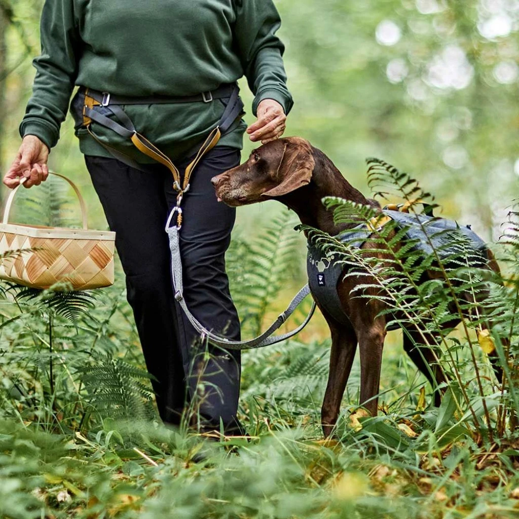 Expedition Belt ECO - Walk or run without the need to hold a leash - image 2 of 7
