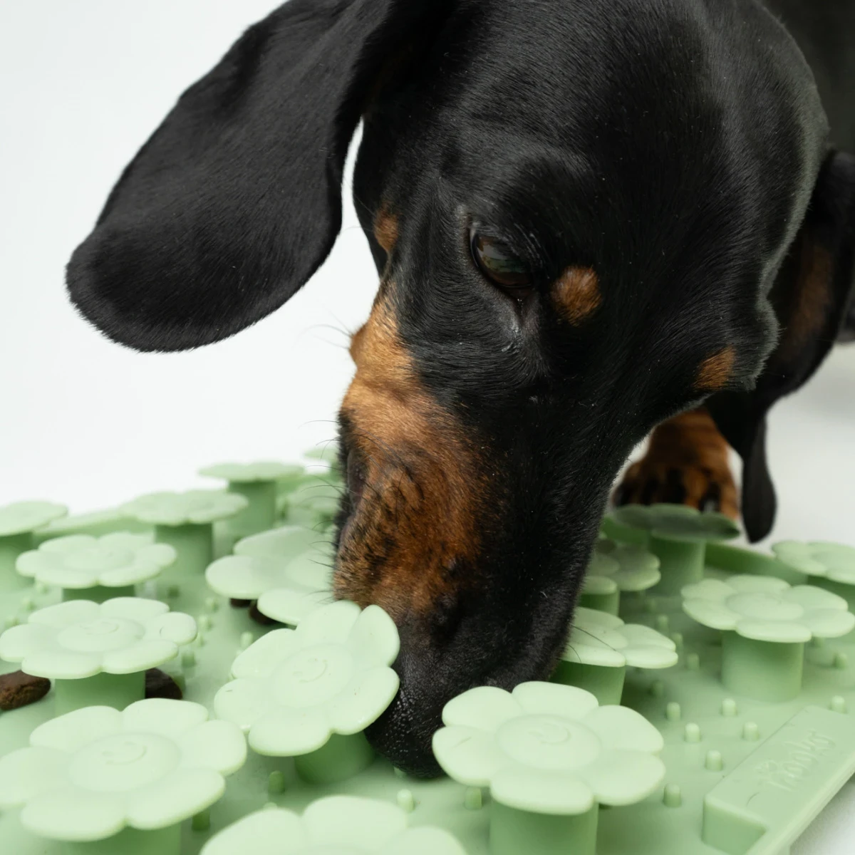 Sniffing and licking mat - Sage - image 3 of 5