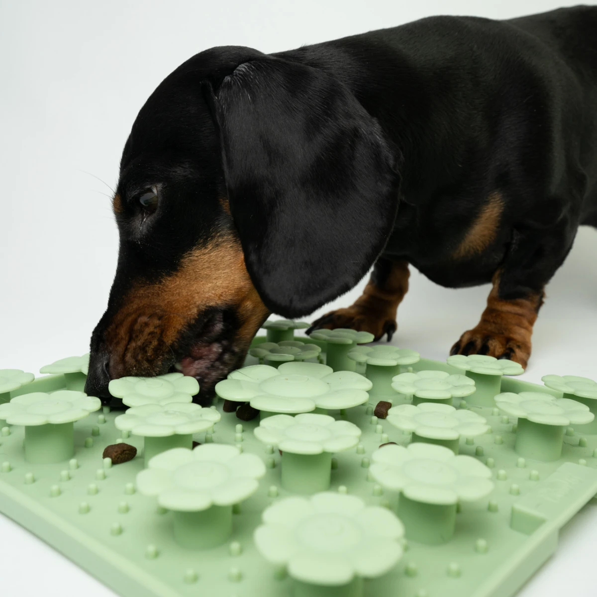 Sniffing and licking mat - Sage - image 4 of 5