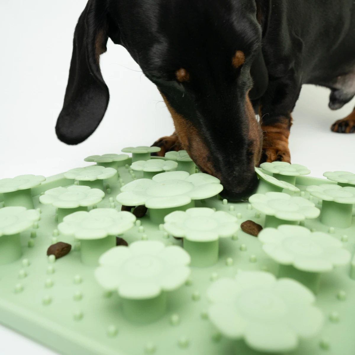 Sniffing and licking mat - Sage - image 5 of 5