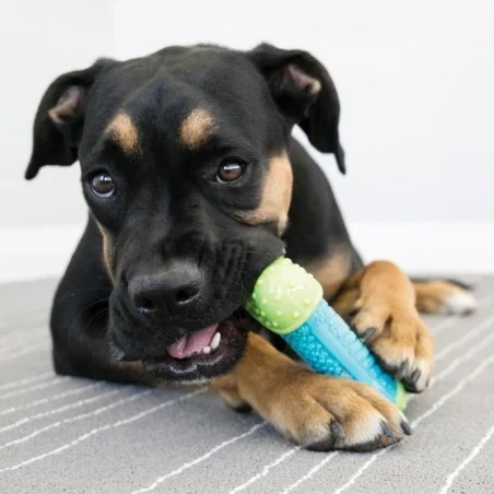 CoreStrength bone-shaped toy - M/L - image 2 of 4