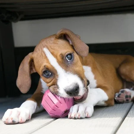 Puppy Activity rubber ball, S - image 2 of 6