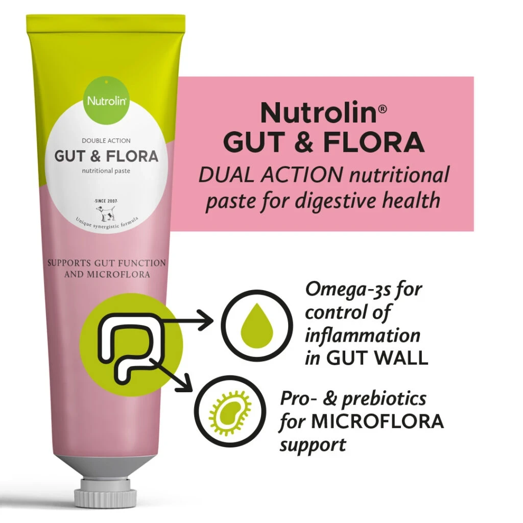 Nutrient Paste for Dog 200g - Gut & Flora - image 2 of 2