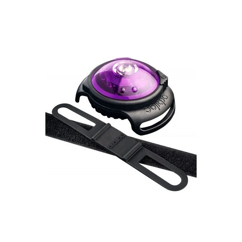 Dog Dual LED tuluke - Lilla - image 1 of 5