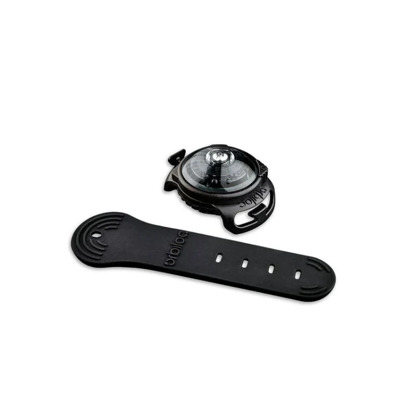 Dog Dual LED Light - Black - image 1 of 5