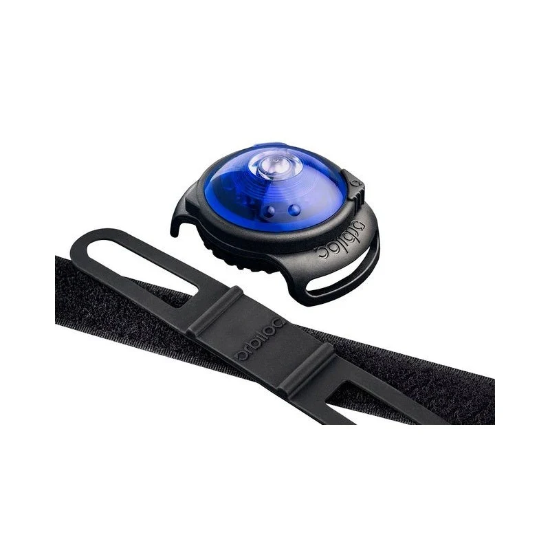 Dog Dual LED tuluke - Sinine - image 1 of 5