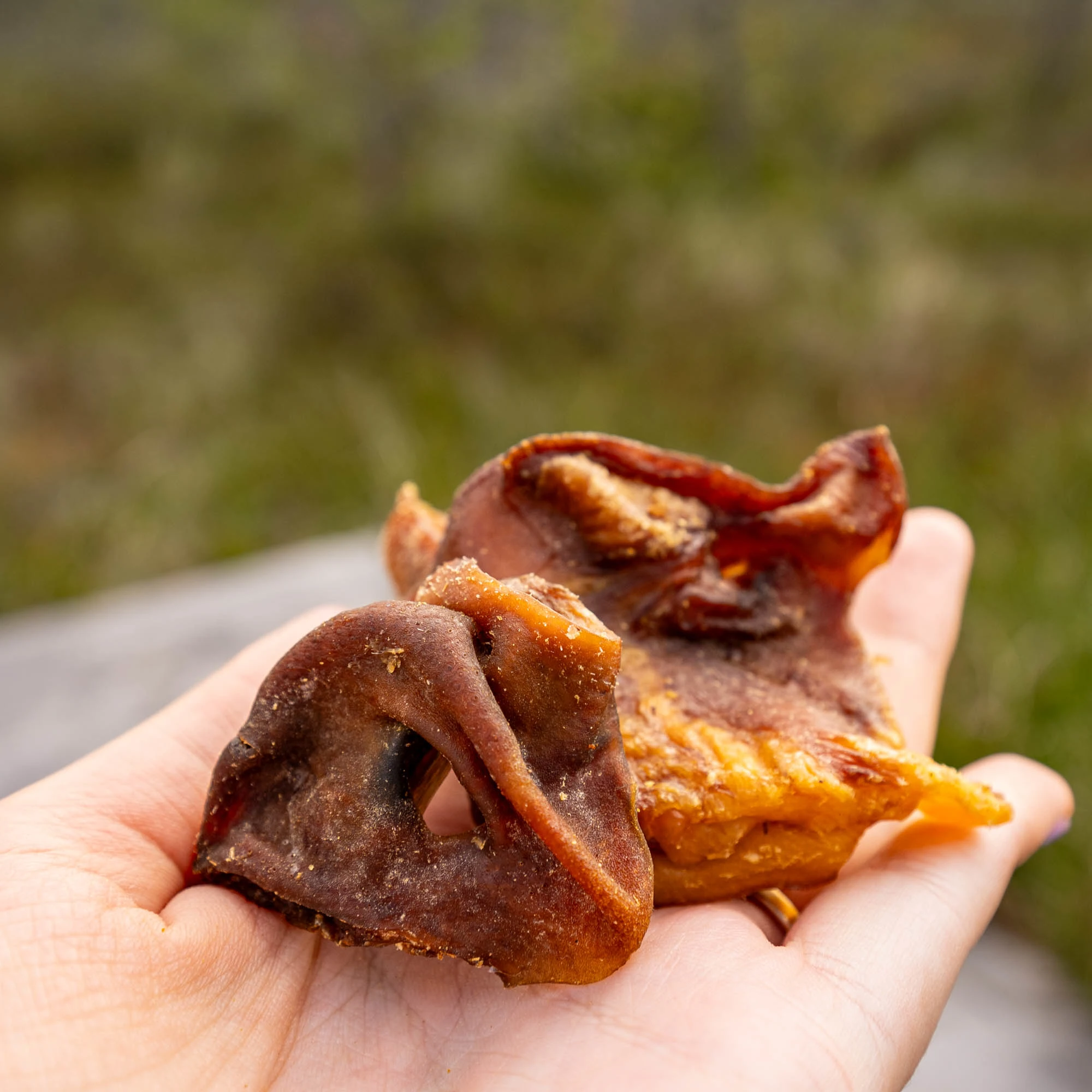 Pig snout, high in protein and low in fat - image 2 of 5